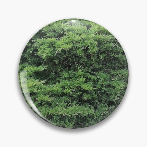 Item preview, Green juniper bush in the garden designed and sold by PhuongVoArt.