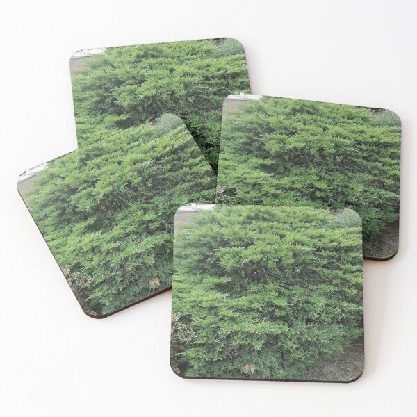 Item preview, Green juniper bush in the garden designed and sold by PhuongVoArt.