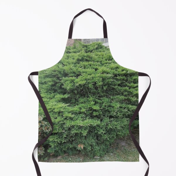 Item preview, Green juniper bush in the garden designed and sold by PhuongVoArt.