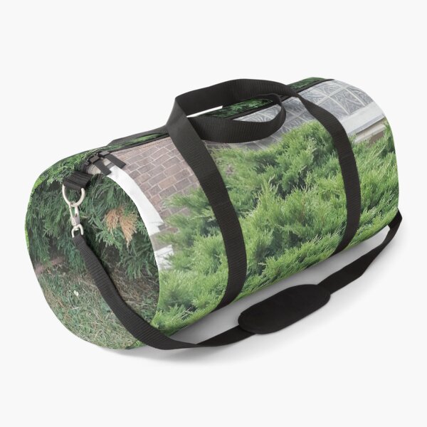 Item preview, Green juniper bush in the garden designed and sold by PhuongVoArt.