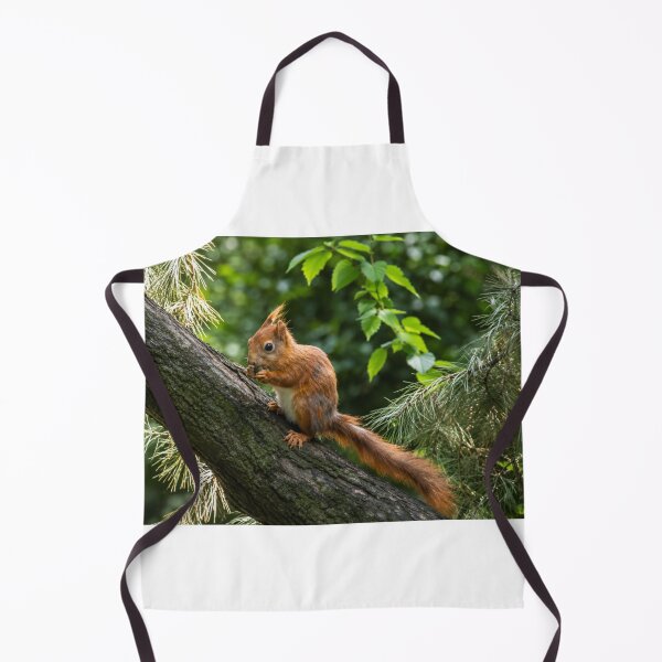 Item preview, Curious Red Squirrel on a Log designed and sold by Astute-Artio-Photography.