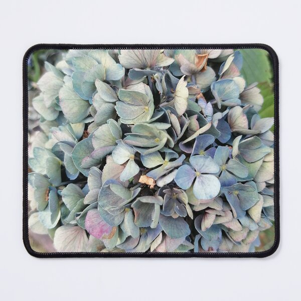 Item preview, Pastel blue hydrangea in the garden designed and sold by PhuongVoArt.