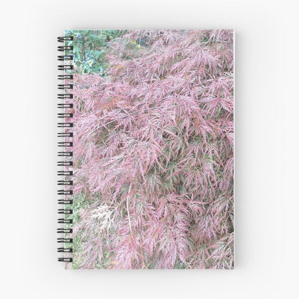 Item preview, Japanese maple with pale pink leaves designed and sold by PhuongVoArt.