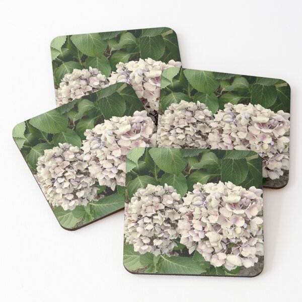 Item preview, Pastel-colored hydrangea blossoms in the garden designed and sold by PhuongVoArt.