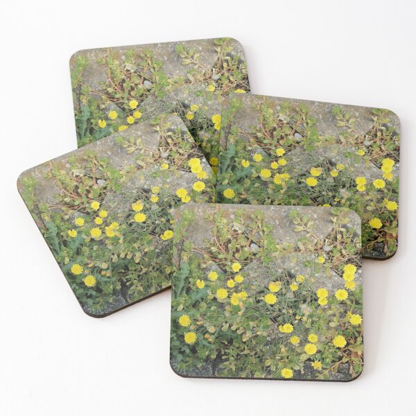Item preview, Small yellow wildflowers by the roadside designed and sold by PhuongVoArt.
