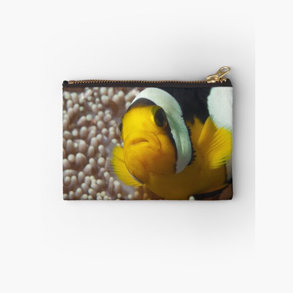 Item preview, Saddleback Clownfish Extreme Close-up * Raja Ampat Photo |  designed and sold by Photo & Design Ute Niemann.