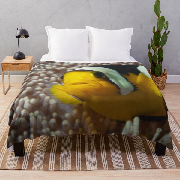 Item preview, Saddleback Clownfish Extreme Close-up * Raja Ampat Photo | designed and sold by Photo & Design Ute Niemann.