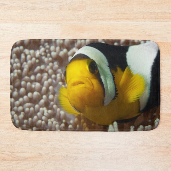 Item preview, Saddleback Clownfish Extreme Close-up * Raja Ampat Photo |  designed and sold by Photo & Design Ute Niemann.