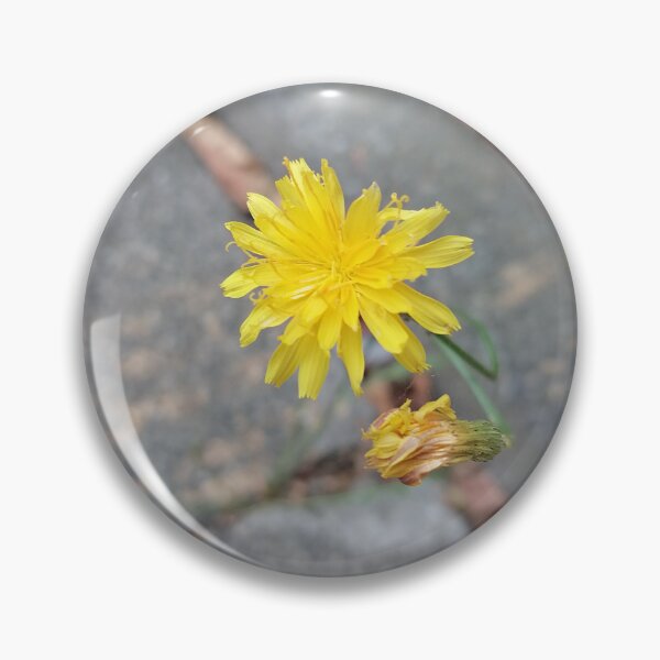 Item preview, Yellow wildflower by the roadside designed and sold by PhuongVoArt.