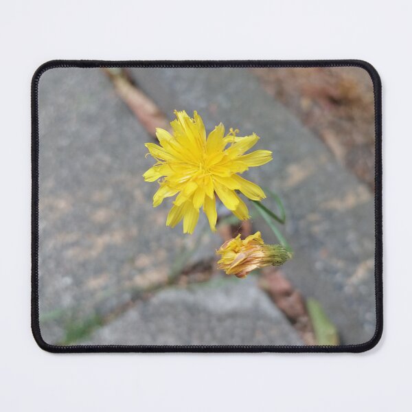 Item preview, Yellow wildflower by the roadside designed and sold by PhuongVoArt.