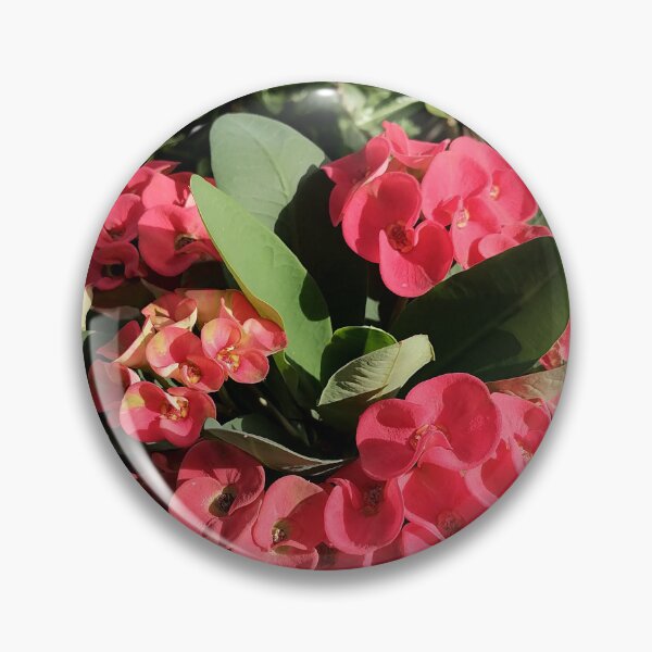 Item preview, Red Christ's thorn blossoms in the garden designed and sold by PhuongVoArt.