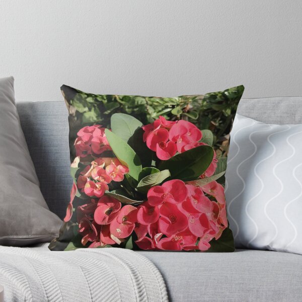 Item preview, Red Christ's thorn blossoms in the garden designed and sold by PhuongVoArt.