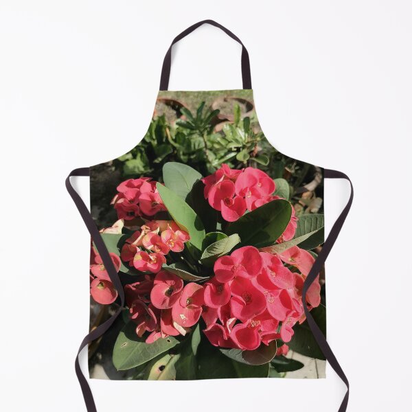 Item preview, Red Christ's thorn blossoms in the garden designed and sold by PhuongVoArt.