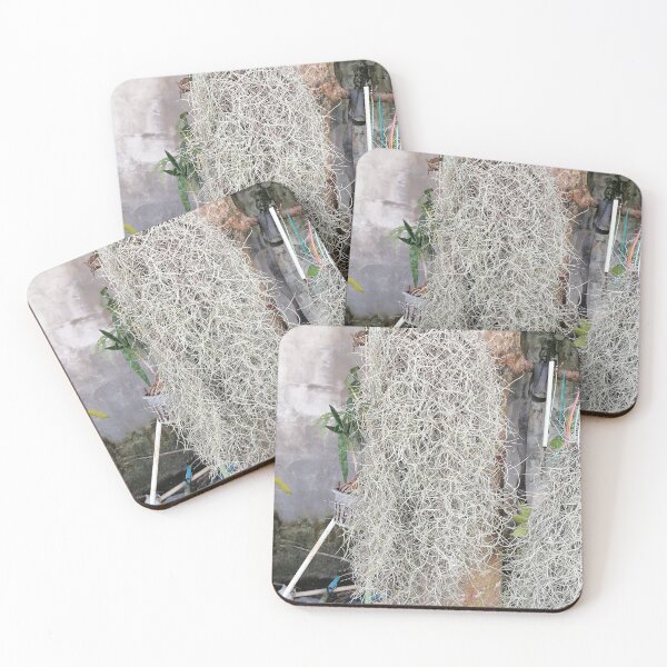 Item preview, Tillandsia usneoides – Spanish moss on the tree designed and sold by PhuongVoArt.