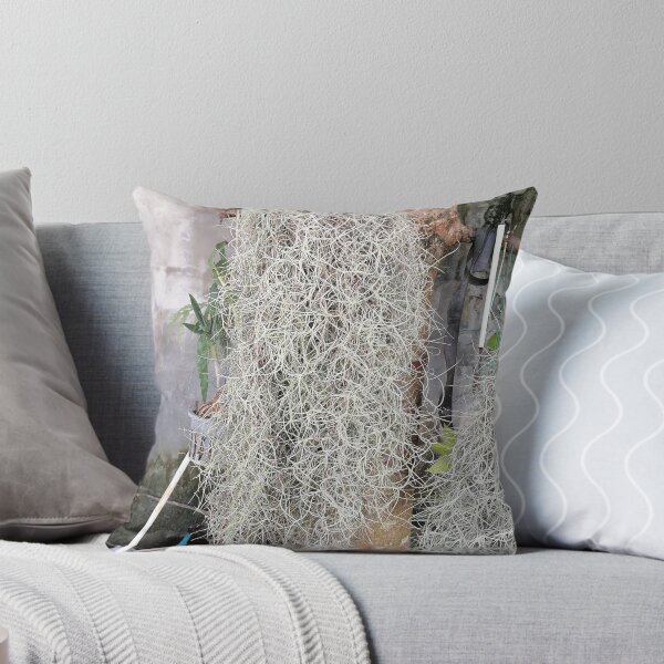 Item preview, Tillandsia usneoides – Spanish moss on the tree designed and sold by PhuongVoArt.