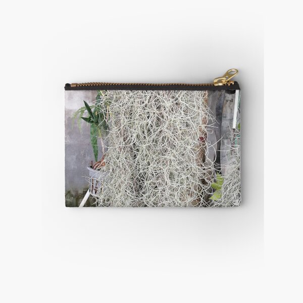 Item preview, Tillandsia usneoides – Spanish moss on the tree designed and sold by PhuongVoArt.