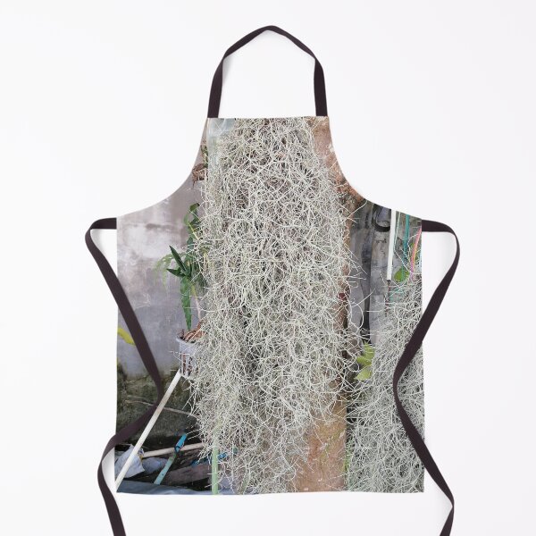 Item preview, Tillandsia usneoides – Spanish moss on the tree designed and sold by PhuongVoArt.