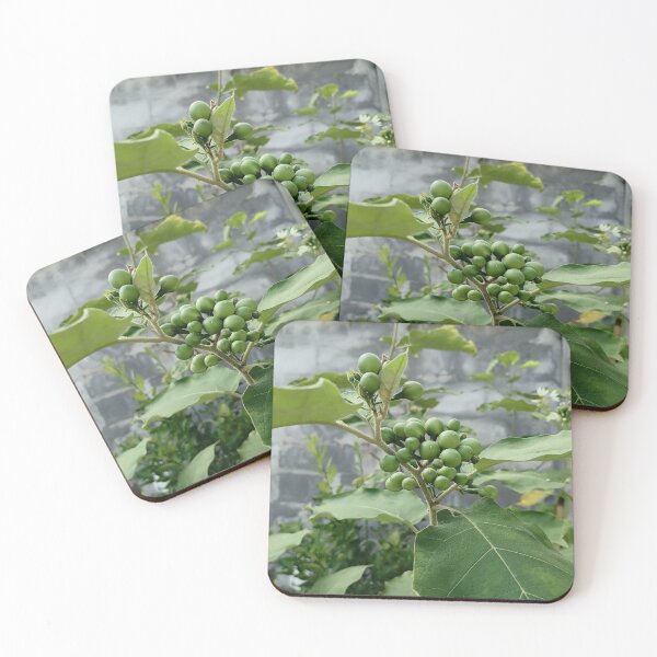 Item preview, Green berries on a wild plant designed and sold by PhuongVoArt.