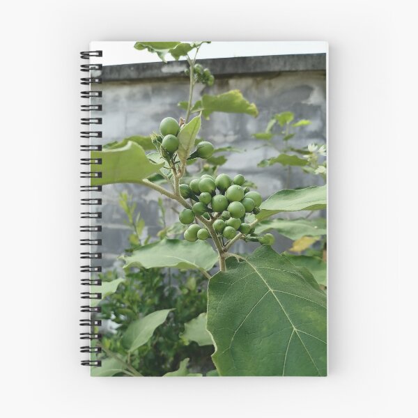 Item preview, Green berries on a wild plant designed and sold by PhuongVoArt.
