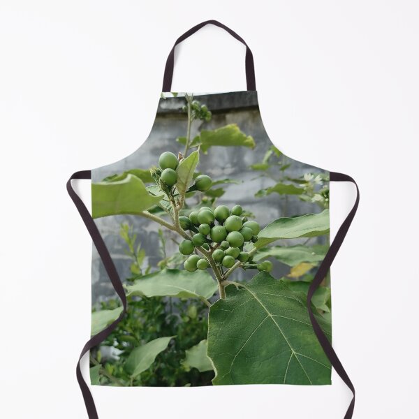 Item preview, Green berries on a wild plant designed and sold by PhuongVoArt.