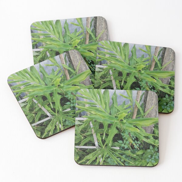 Item preview, Green ginger plant with long leaves designed and sold by PhuongVoArt.