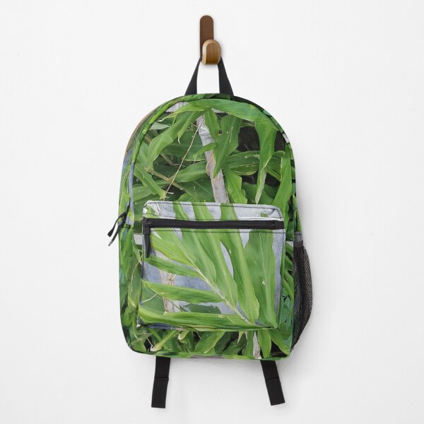 Item preview, Green ginger plant with long leaves designed and sold by PhuongVoArt.