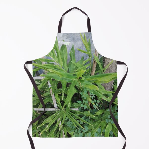 Item preview, Green ginger plant with long leaves designed and sold by PhuongVoArt.