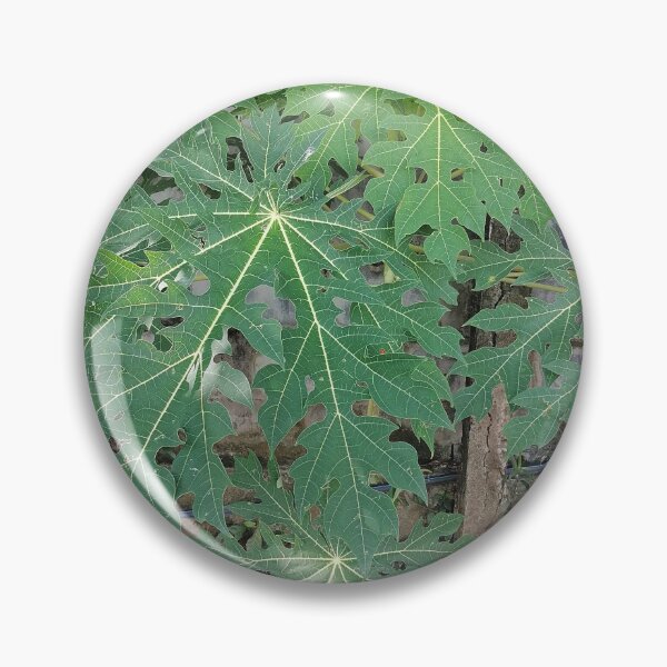 Item preview, Large green papaya leaves in the garden designed and sold by PhuongVoArt.