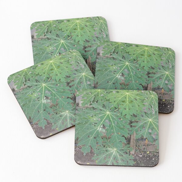 Item preview, Large green papaya leaves in the garden designed and sold by PhuongVoArt.