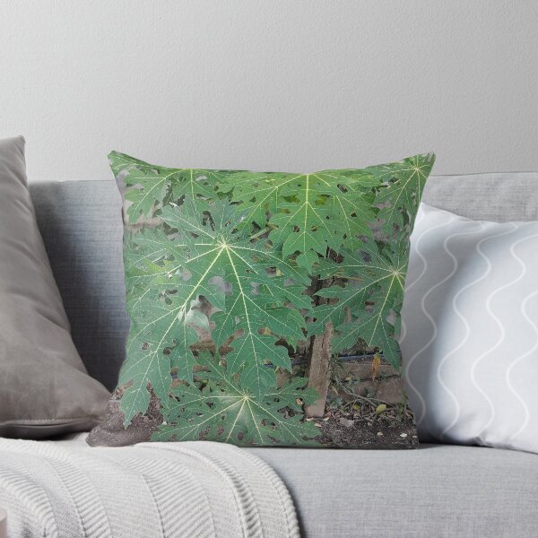 Item preview, Large green papaya leaves in the garden designed and sold by PhuongVoArt.