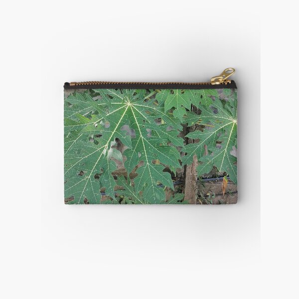 Item preview, Large green papaya leaves in the garden designed and sold by PhuongVoArt.