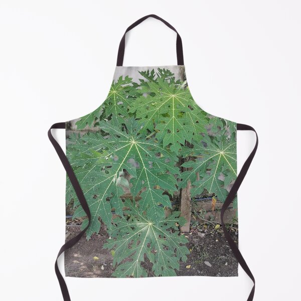 Item preview, Large green papaya leaves in the garden designed and sold by PhuongVoArt.