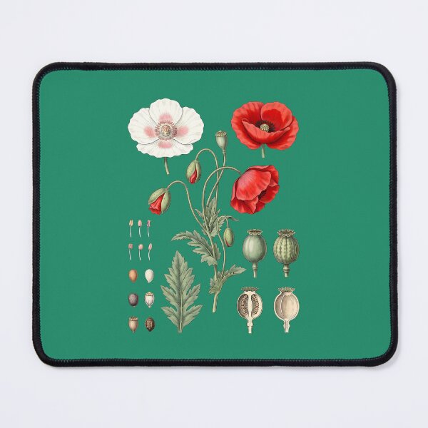 Item preview, Vintage Poppy Botanical Chart – Red and White Poppies Floral Illustration designed and sold by MyHappyArtShop.