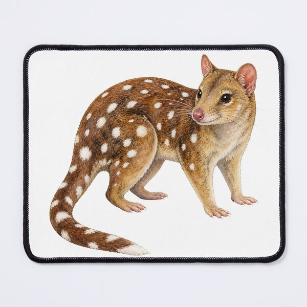 Item preview, Spotted-Tailed Quoll Wildlife Illustration designed and sold by Jaruart.