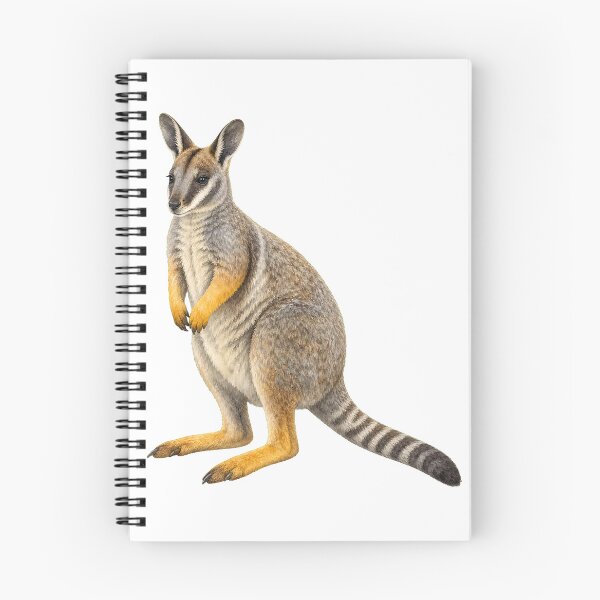 Item preview, Yellow-Footed Rock-Wallaby Wildlife Illustration designed and sold by Jaruart.