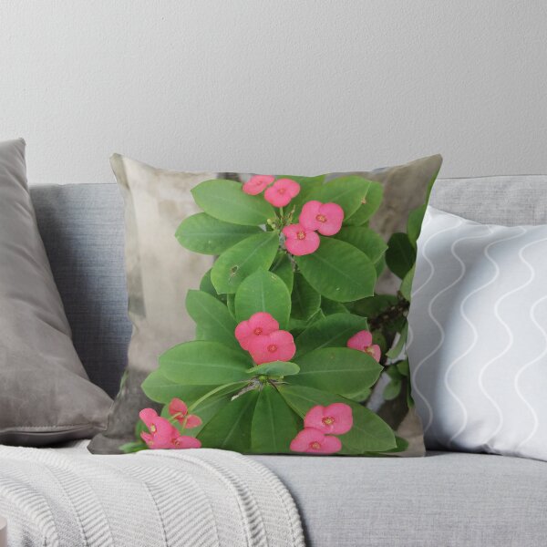 Item preview, Pink Christ's thorn flowers with green leaves designed and sold by PhuongVoArt.