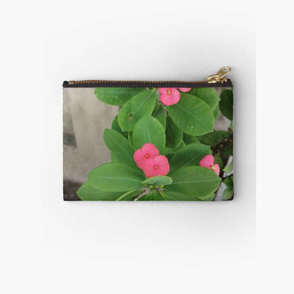 Item preview, Pink Christ's thorn flowers with green leaves designed and sold by PhuongVoArt.