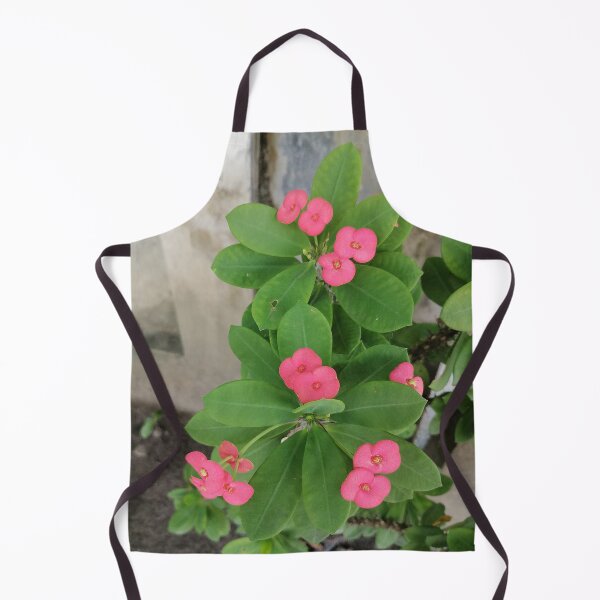 Item preview, Pink Christ's thorn flowers with green leaves designed and sold by PhuongVoArt.