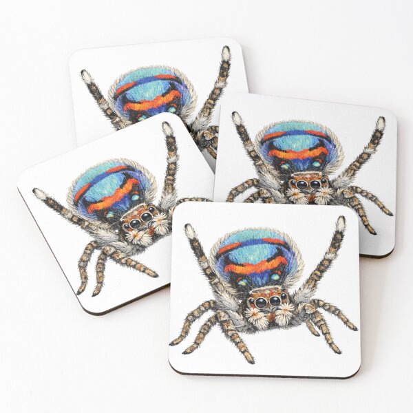 Item preview, Male Peacock Spider Illustration designed and sold by Jaruart.