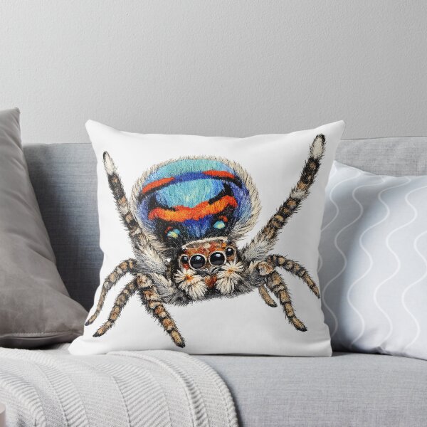 Item preview, Male Peacock Spider Illustration designed and sold by Jaruart.