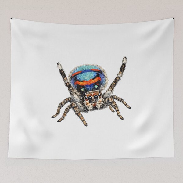 Item preview, Male Peacock Spider Illustration designed and sold by Jaruart.
