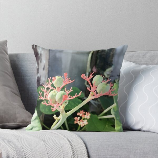 Item preview, Coral-colored flowers and green fruits of the Jatropha designed and sold by PhuongVoArt.
