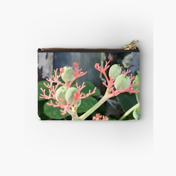 Item preview, Coral-colored flowers and green fruits of the Jatropha designed and sold by PhuongVoArt.