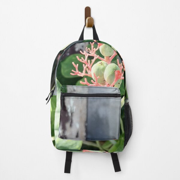 Item preview, Coral-colored flowers and green fruits of the Jatropha designed and sold by PhuongVoArt.