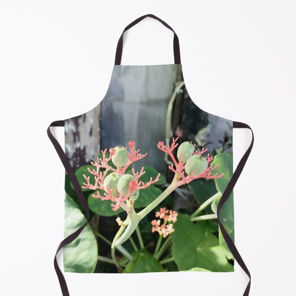 Item preview, Coral-colored flowers and green fruits of the Jatropha designed and sold by PhuongVoArt.