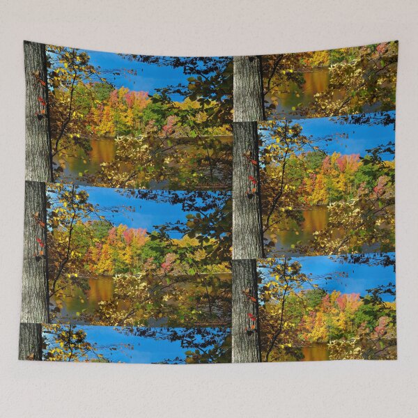 Item preview, Murphysboro Lake (6) designed and sold by michaelasamples.