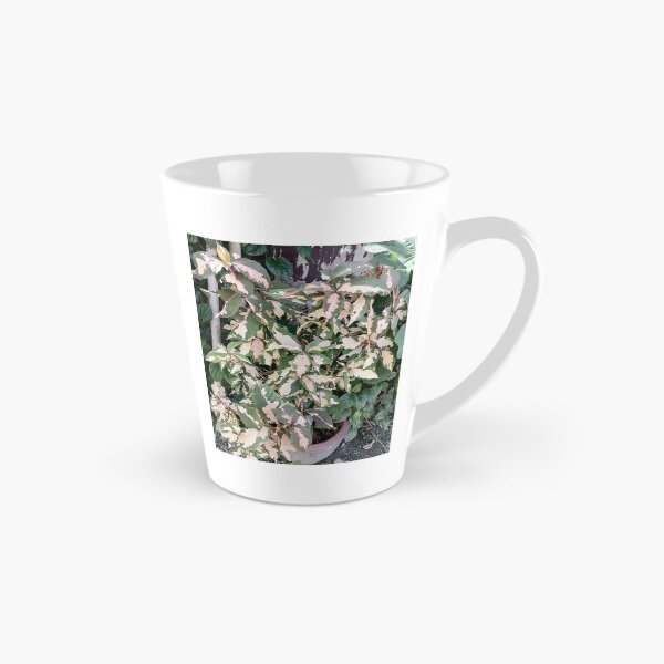 Item preview, Variegated Acalypha with pink and cream-colored leaves designed and sold by PhuongVoArt.