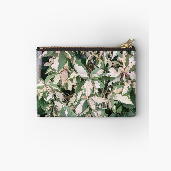 Item preview, Variegated Acalypha with pink and cream-colored leaves designed and sold by PhuongVoArt.