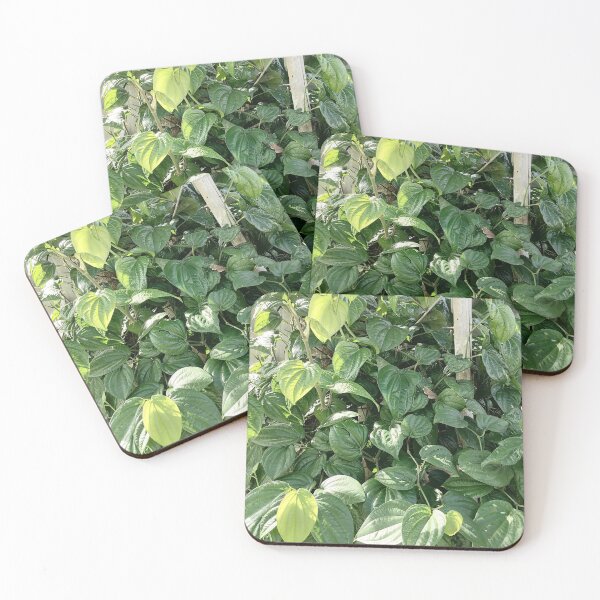 Item preview, Pepper plant with glossy heart-shaped leaves designed and sold by PhuongVoArt.