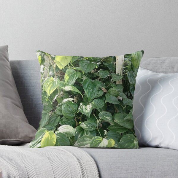 Item preview, Pepper plant with glossy heart-shaped leaves designed and sold by PhuongVoArt.